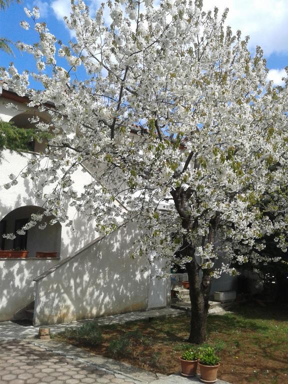 Istria By Nina